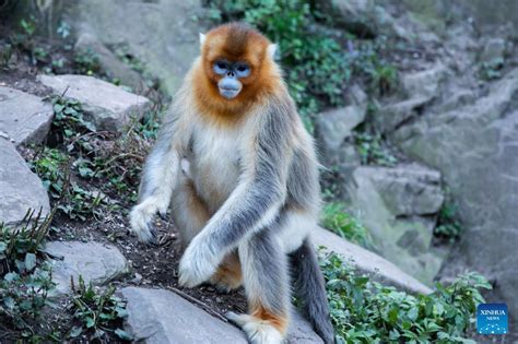 玉合公園如何敘說其魅力與特色